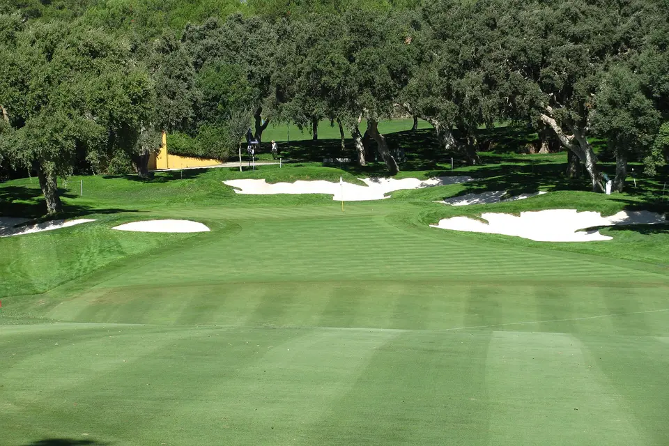 A green flanked by white bunkers and cork oaks at Real Club Valderrama in Sotogrande