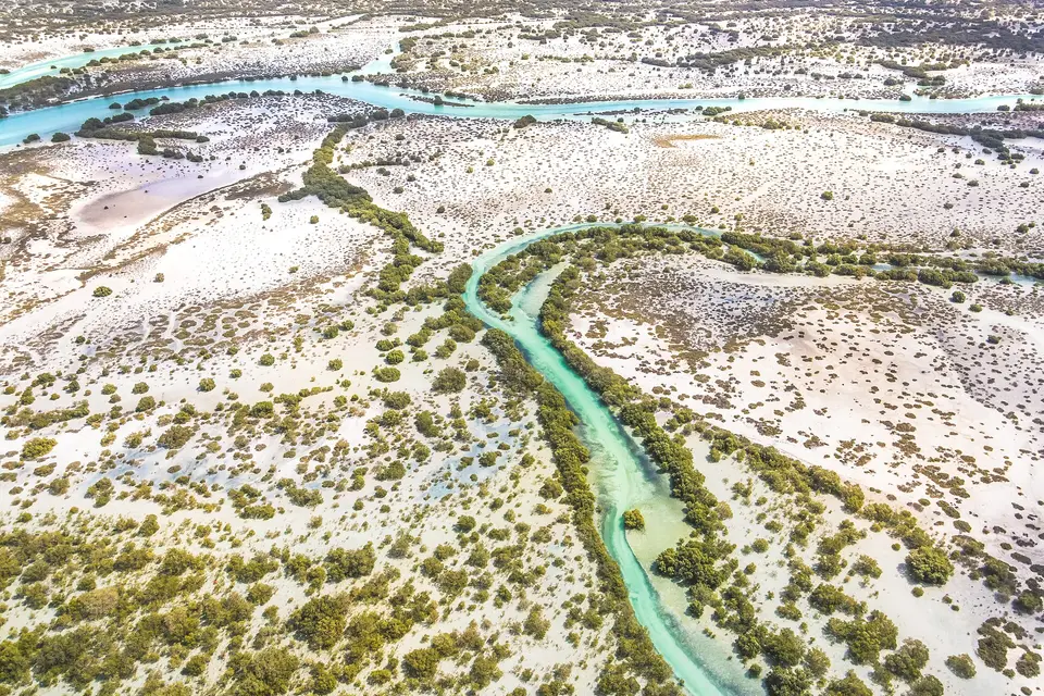 A turquoise tidal creek winding through sand and low shrubs in Saadiyat Marine National Park