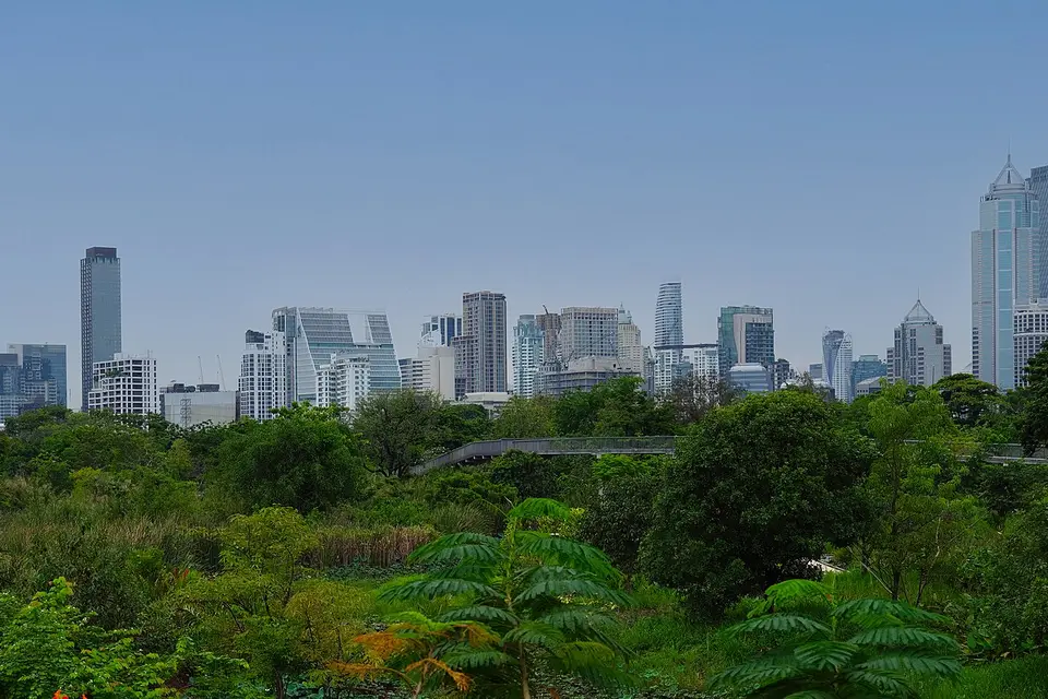 Green treetops of Benjakitti Park with a long row of city towers on the skyline behind