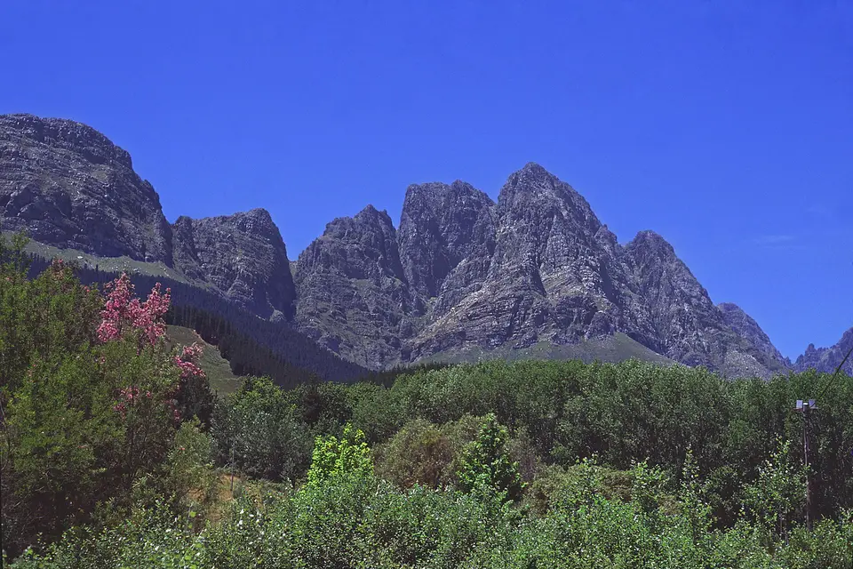 The rocky Twin Peaks rising above green fynbos in the Jonkershoek Valley near Stellenbosch