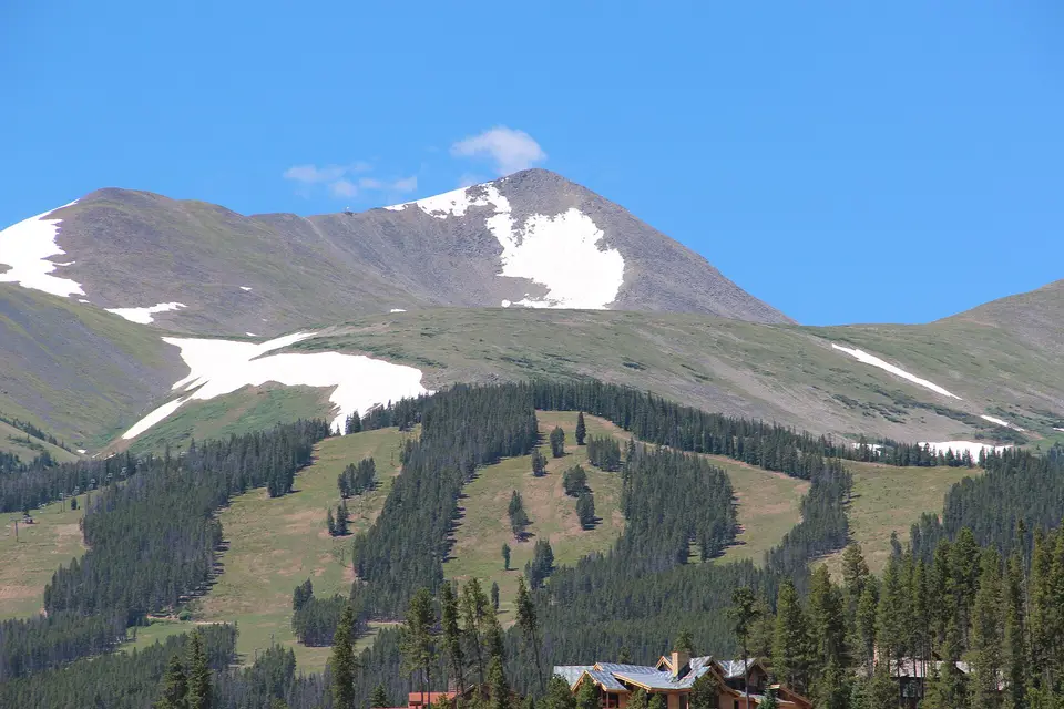 Ski runs cut through the pine forest below Peak 10 at Breckenridge in summer