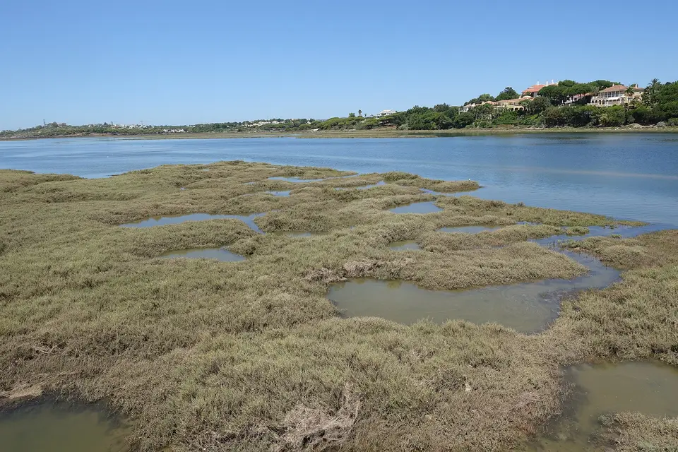 Saltmarsh and the lake at Quinta do Lago with villas on the far shore