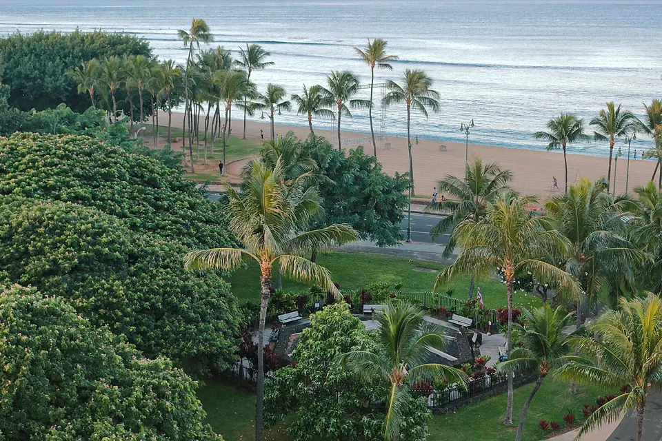 Palm trees and gardens beside the sand of Waikiki Beach in Honolulu, seen from above