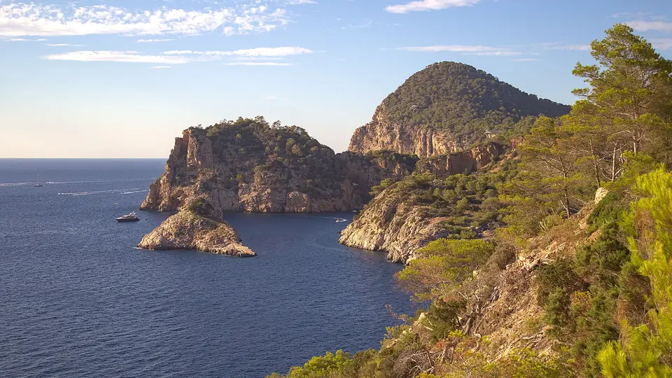 Pine-covered cliffs and the islet of Sa Forada near Cala Salada, north of Sant Antoni in Ibiza
