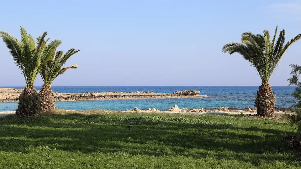 Palm trees and lawn above the clear water and rocky islet of Nissi Beach in Ayia Napa