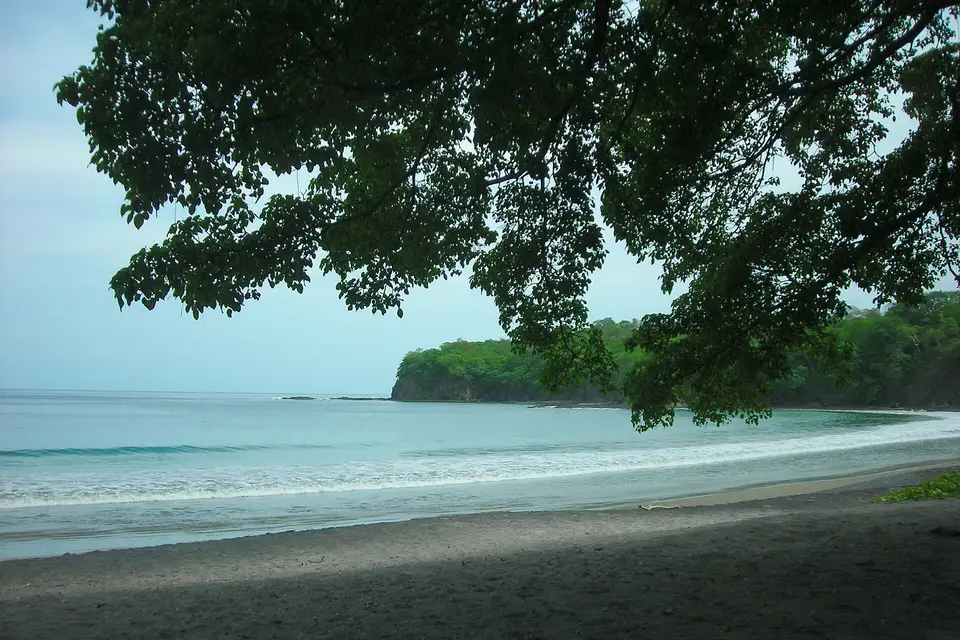 A shady tree over the sandy curve of Bahía Prieta on the Papagayo Peninsula, Costa Rica