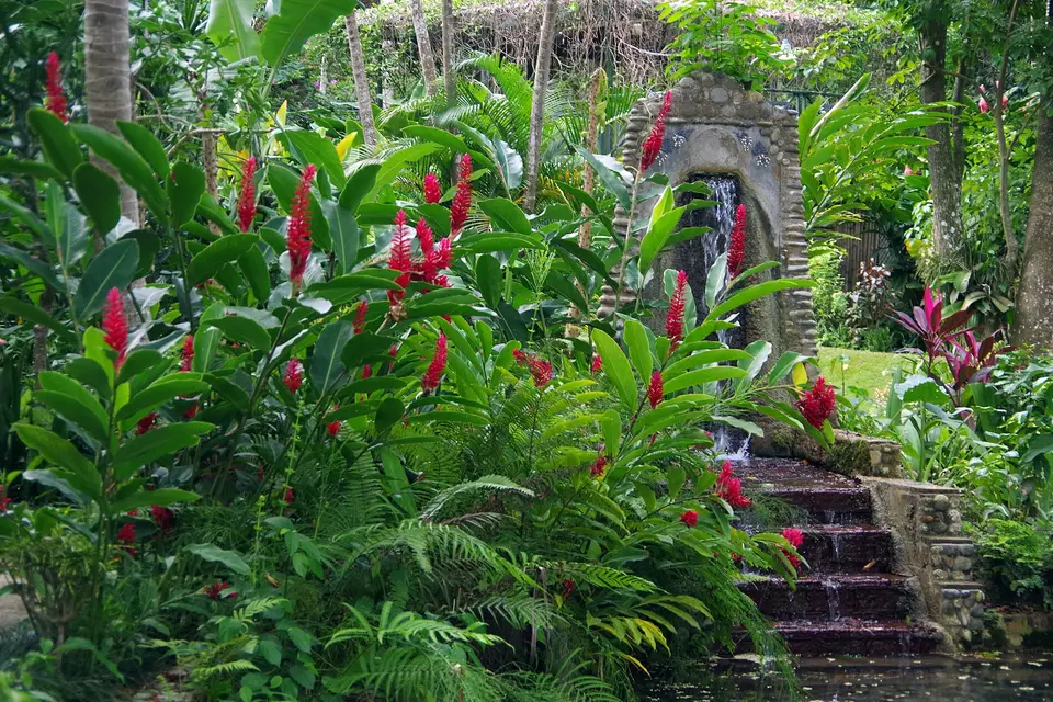Red ginger flowers and tropical plants beside stone steps in Konoko Garden, Ocho Rios