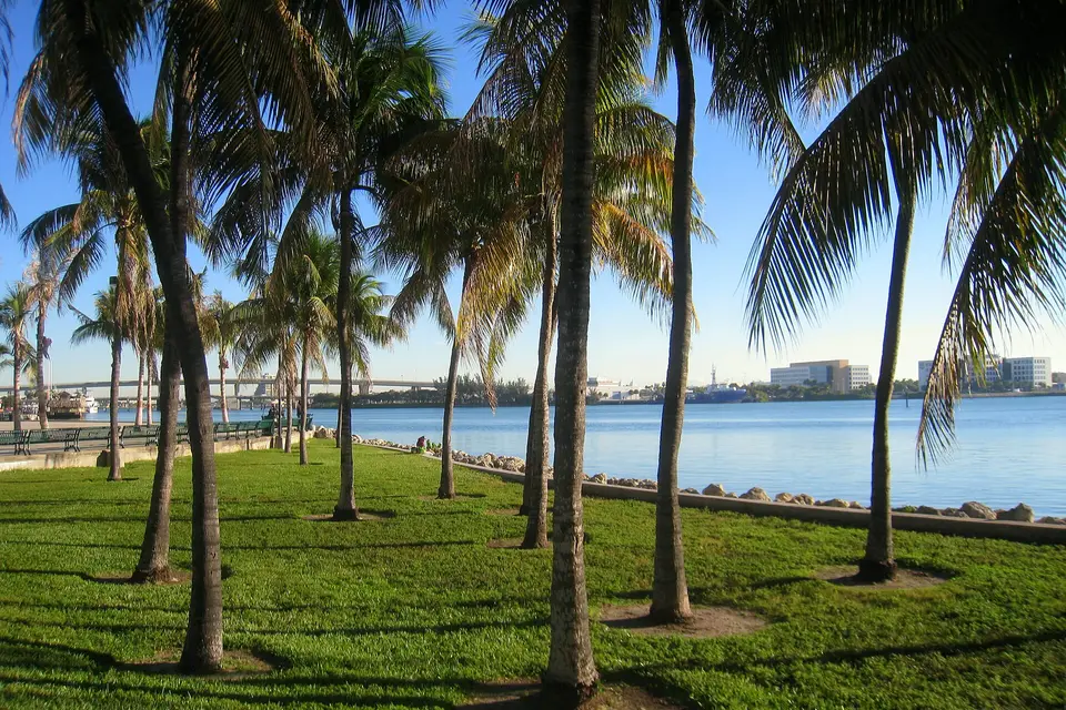 Palm trees and lawns of Bayfront Park along the edge of Biscayne Bay
