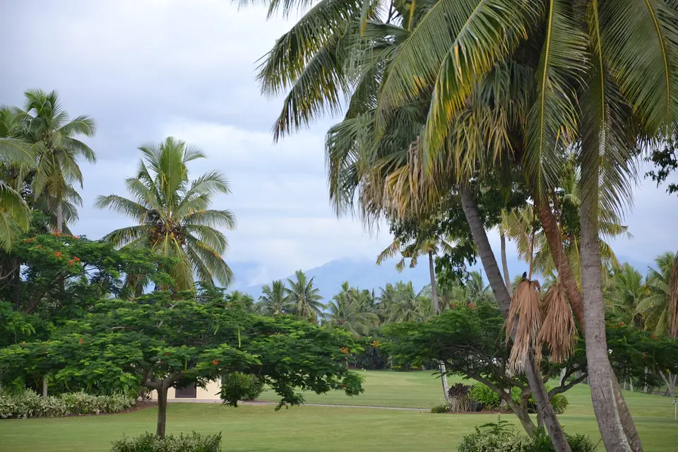 Coconut palms and flowering trees beside the green fairways of the Denarau golf course