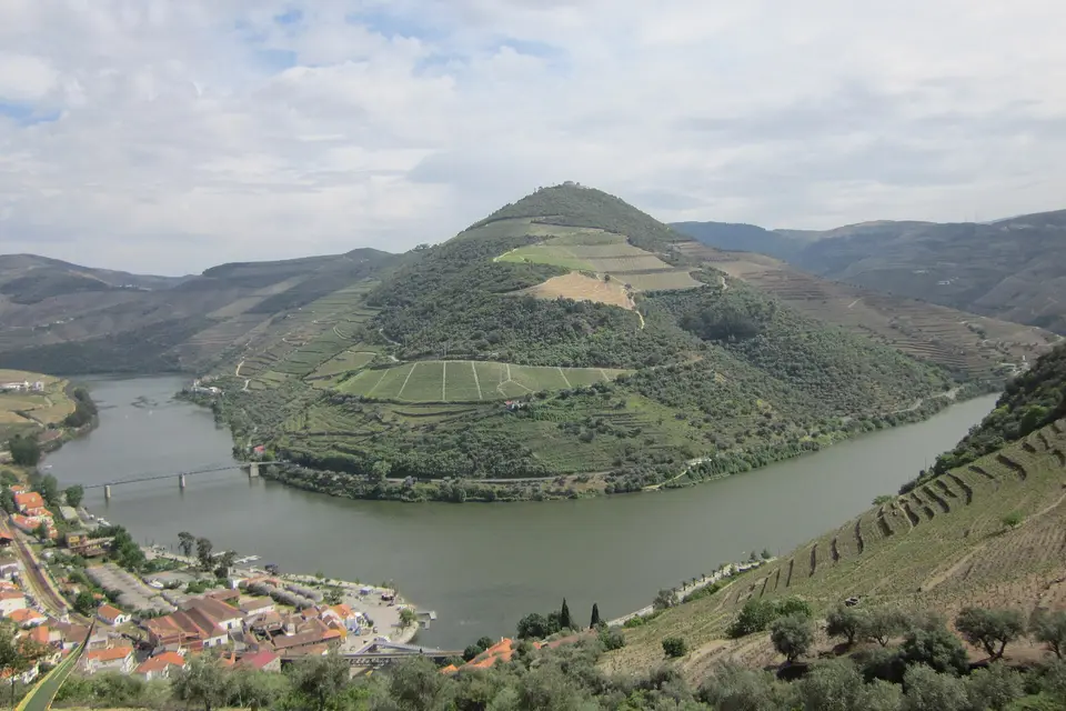 Terraced vineyards in a bend of the Douro near Pinhão