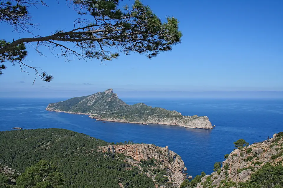 Sa Dragonera island off Mallorca's west coast seen through pine branches from the cliffs