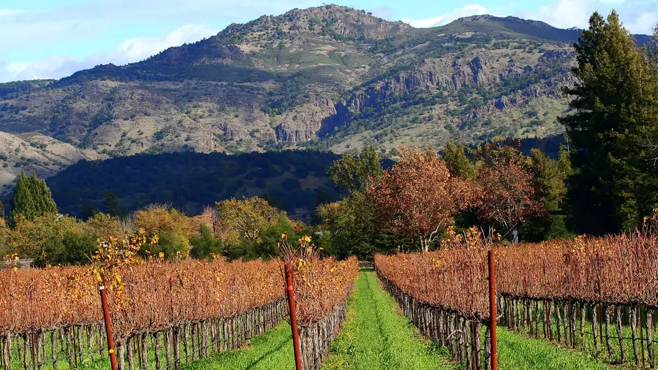 Autumn vineyards in red and gold on the Napa Valley floor below rugged, rocky mountains