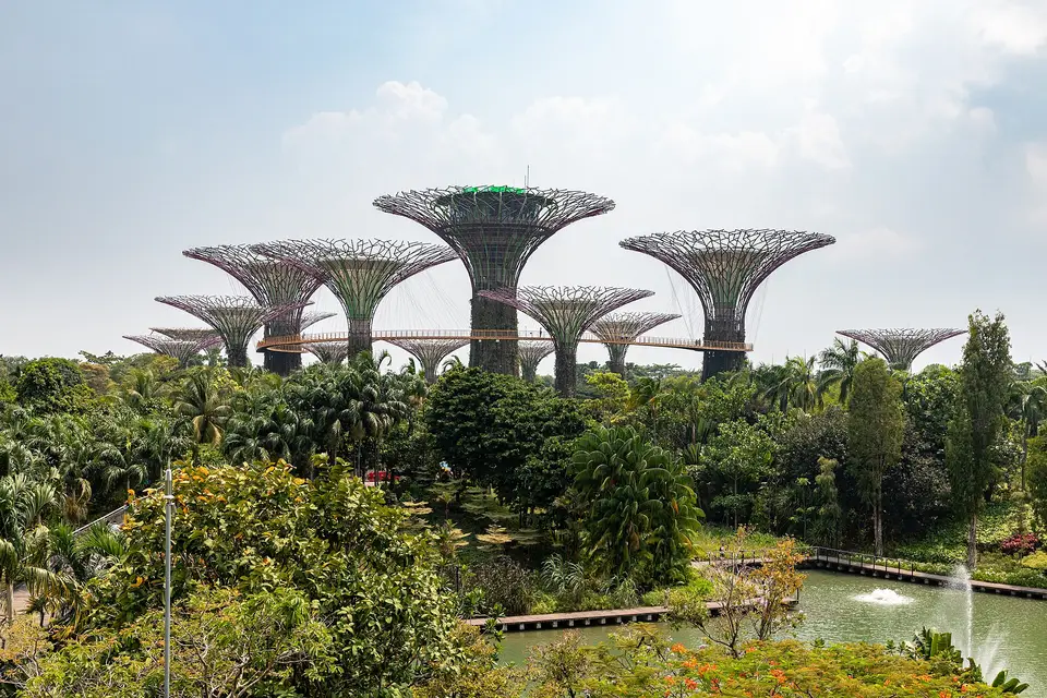 The Supertree Grove rising above tropical gardens and a pond at Gardens by the Bay, Singapore