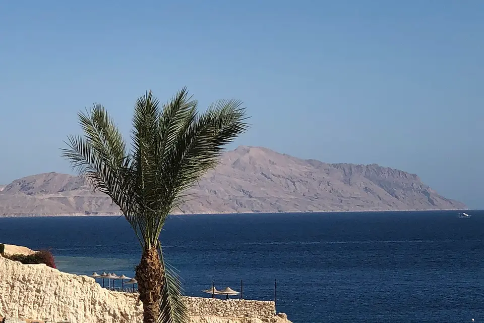 Tiran Island rising across the deep blue sea, seen past a palm on the Sharm El Sheikh shore