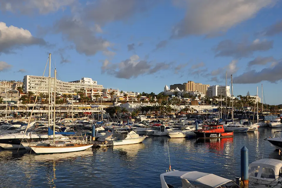Sailing boats and yachts moored in Puerto Colón marina, with hotels behind