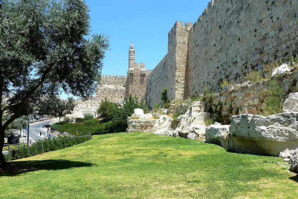 The Old City walls and the Tower of David minaret beside a lawn and olive tree in Jerusalem
